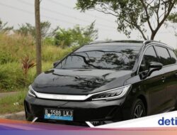 BYD M6 Laris Manis Ke Indonesia, Wuling Nggak Tertarik Bikin Pesaingnya?