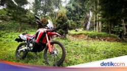 Konsumsi BBM CRF250 Rally Terbaru Dipakai Harian sampai Off-Road Tipis-tipis