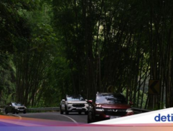 ‘Dihajar’ Bersama Malang Ke Solo, Segini Konsumsi BBM Wuling Alvez