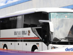 Mewah dan Mahal, Ini Penampilan Kendaraan Angkutan Umum Terbaru PO Surya Bali Didalam Bodi New Armada