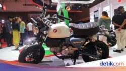 Honda Monkey Mutakhir Meluncur Di IIMS 2025, Harga Rp 87 Jutaan!