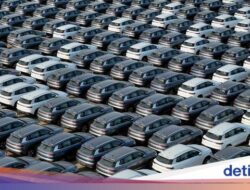 Banyak Dilirik Orang Indonesia, Ini Daftar Kendaraan Pribadi Elektrik China Ke RI