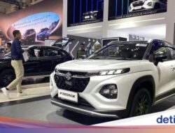 Bukan Iritnya, Ini yang Dibicarakan Orang Indonesia Soal Fronx