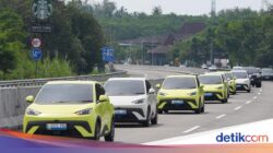 Murah Meriah! Biaya Perawatan Medis BYD Atto 1 Setahun Cuma Habis Segini