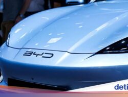 Kendaraan Pribadi PHEV Melejit Hingga RI Gara-gara Merek China, BYD Kok Nggak Ikutan?