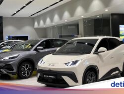 Belum 2 Tahun, Sudah Segini Kendaraan Pribadi BYD yang Dibeli Orang Indonesia
