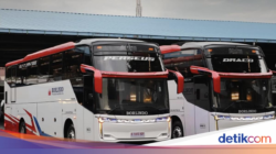 PO Borlindo Rilis Kendaraan Angkutan Umum Anyar, Ada 2 Sofa Spesial Ke Dibagian Di