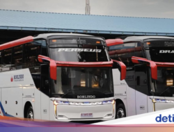 PO Borlindo Rilis Kendaraan Angkutan Umum Anyar, Ada 2 Sofa Spesial Ke Dibagian Di
