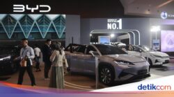 Selaris Apa Kendaraan Pribadi BYD Ke Dunia Sepanjang 2025?