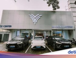 Penjelasan Neta soal Usaha Di Indonesia, Servis Cuma Bisa Di Tempat Ini