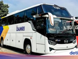 Damri Buka Rute Jakarta-Bali, Segini Tarifnya