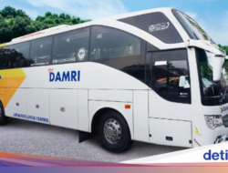Rute yang Dilewati Kendaraan Angkutan Umum Damri Jakarta-Denpasar Seharga Rp 500 Ribuan