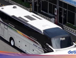 Kendaraan Angkutan Umum Sinar Jaya Paling Kalcer Meluncur Untuk Garasi New Armada