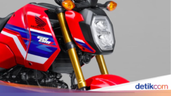 Honda Kenalkan Generasi Terbaru Grom 2026, Harganya Rp 48 Jutaan!