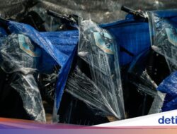 BGN Beli Kendaraan Bermotor Roda Dua Listrik Rp 42 Juta/Unit, Harga Dipastikan Tak Wajar