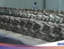 Gimana Nasib Puluhan Ribu Kendaraan Bermotor Roda Dua Listrik MBG Di Tindak Kejahatan Markup BGN?