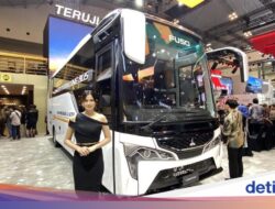 Kendaraan Angkutan Umum Ekstra Panjang Fuso Dijual, Harga Mulai Rp 460 Jutaan