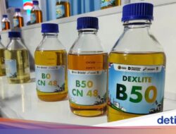 B50 Diklaim Bisa Perpanjang Usia Filter Solar, Begini Kata Isuzu