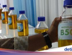 Kata Gaikindo Soal Perlindungan Mesin Diesel Tenggak B50