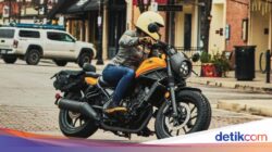 Harganya Rp 40 Jutaan, Begini Spesifikasi Honda Rebel 300