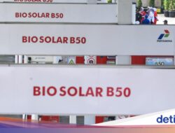Kata Bos Transporter Usai Pakai B50: Masalah Nggak Ada, Cuma…