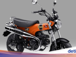Honda ST125 Dax Terbaru Meluncur Hingga Indonesia, Harga Rp 84,5 Juta